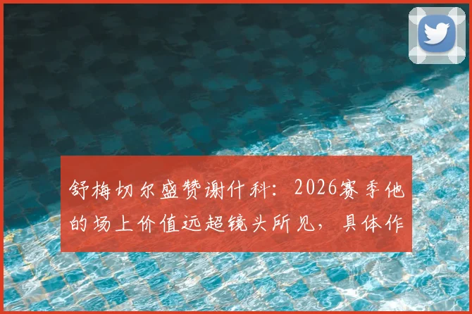 舒梅切尔盛赞谢什科:2026赛季他的场上价值远超镜头所见,具体作用解析