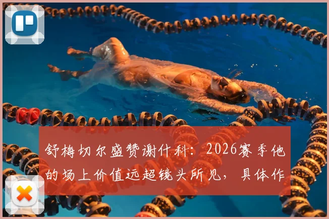 舒梅切尔盛赞谢什科：2026赛季他的场上价值远超镜头所见，具体作用解析